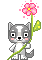 :catflower